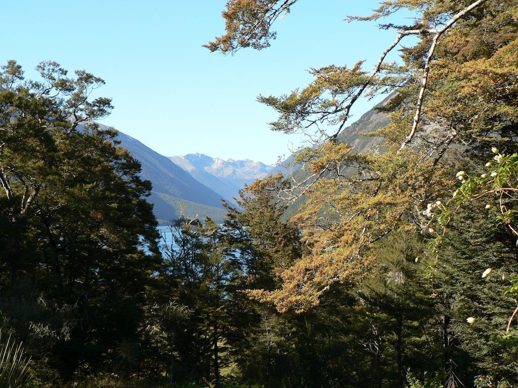 阿瓦尔住宿加早餐旅馆 圣阿诺 外观 照片